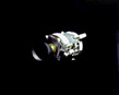 Apollo 13 - Il Modulo di Servizio mostra gli effetti dell'esplosione
