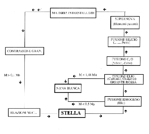 schema